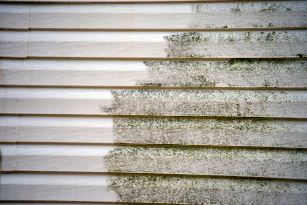Best Custom Siding Design  in Locust, NC