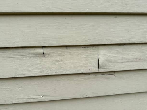 Best Composite Siding  in Locust, NC